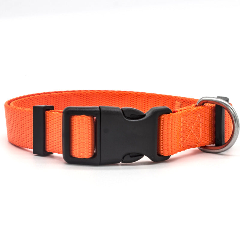 Pet Collar
