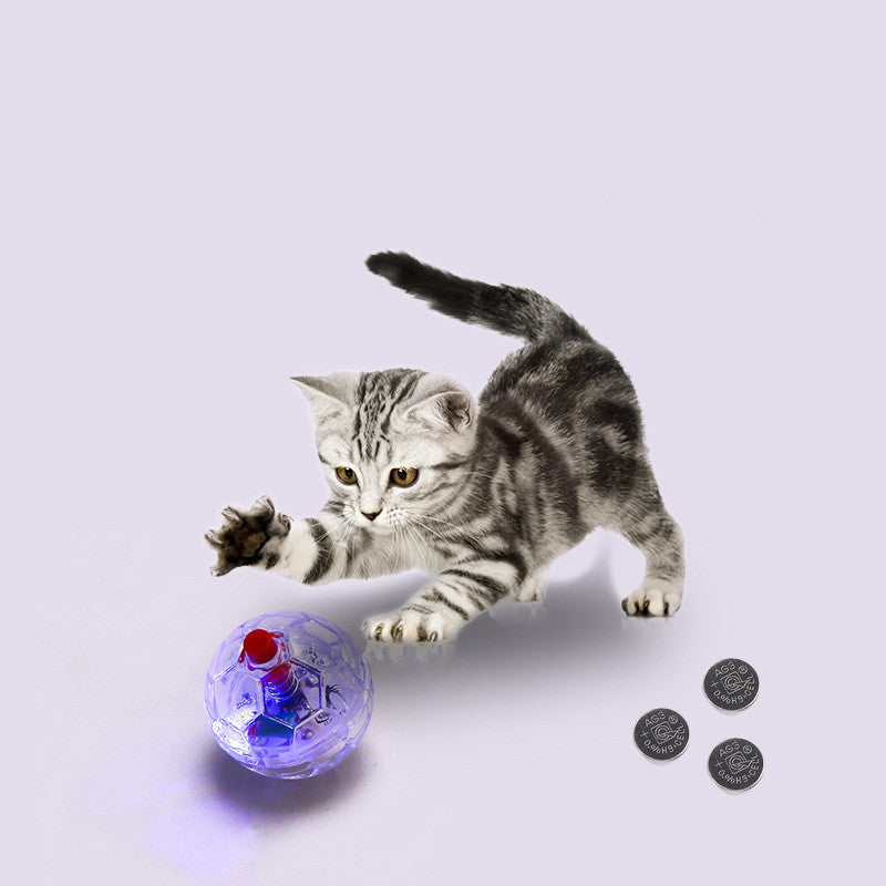 Cat Dog Toy Ball Fashion Glowing Transparent Plastic Ball Pet Interactive Toy Funny Training Cat GlowBalls Toys Pet Products