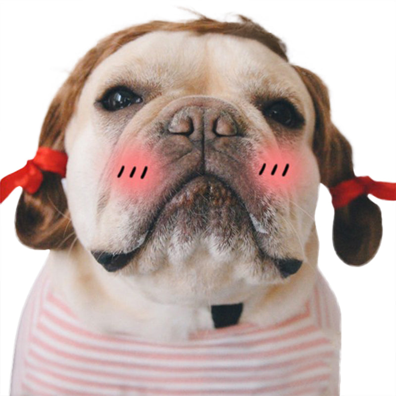 Creative Pet Simple Funny Wig Headgear