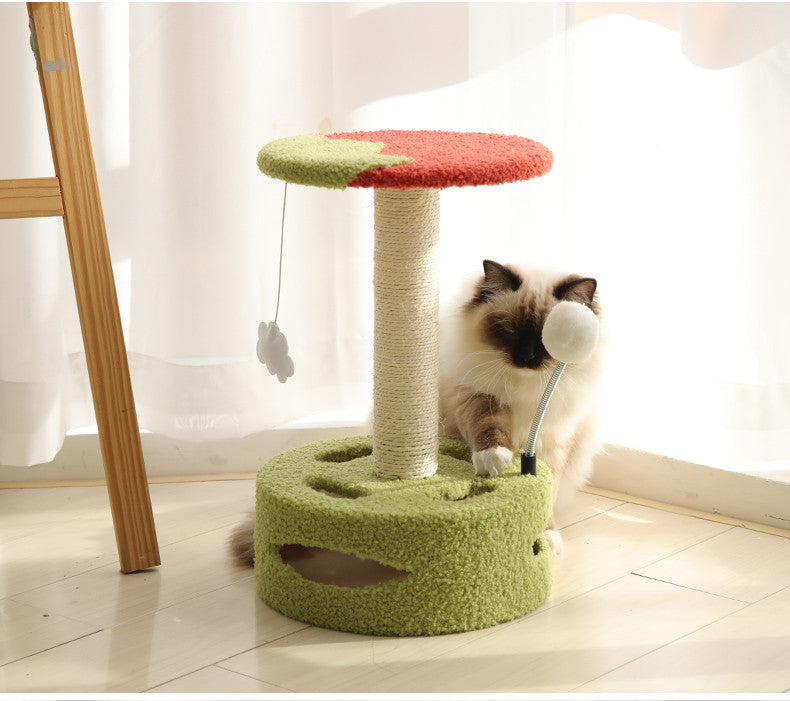Kitten Cat Climbing Frame Small Cat Scratching Post Sisal Scratching Board