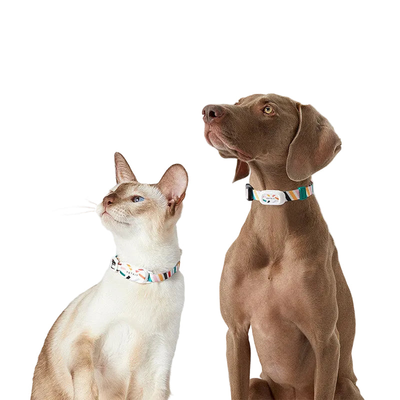 PETKIT Pet Dog Activity Detection Wearable Equipment
