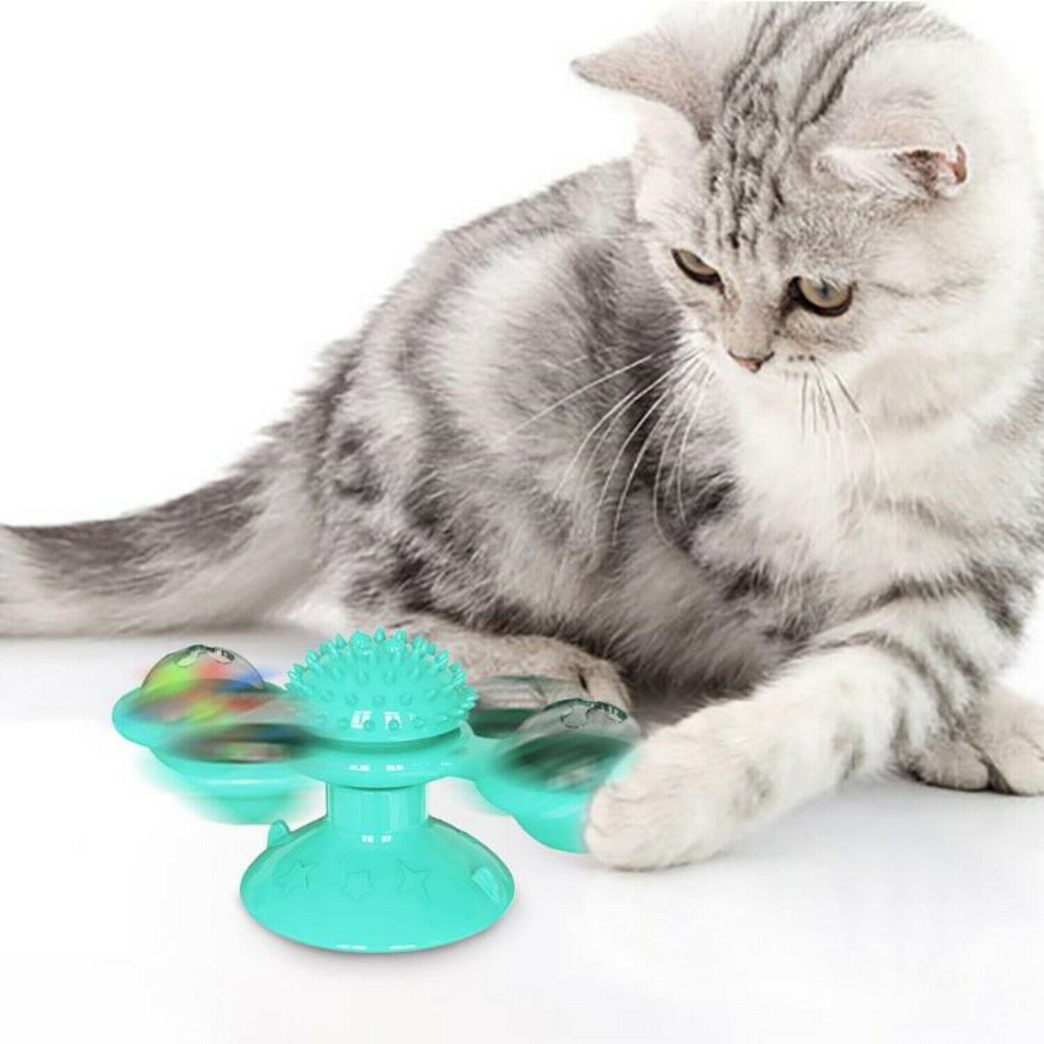 PET TOY SET