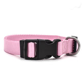 Pet Collar