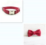 Pet Traction Collar Dog Collar