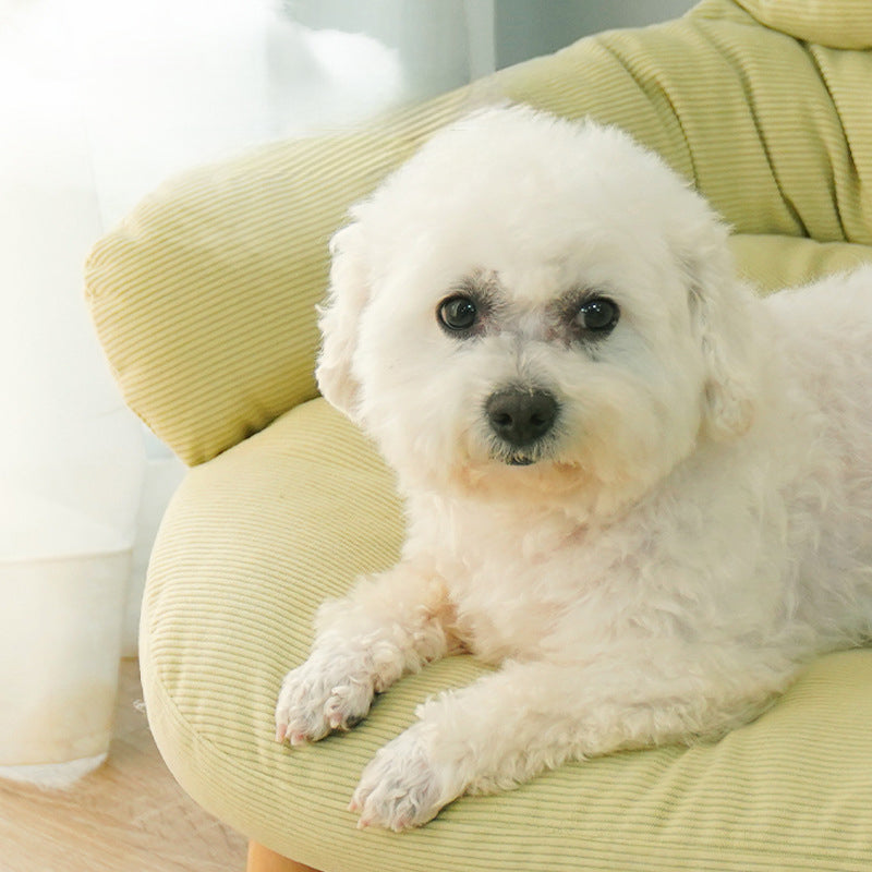 Four Seasons Universal Bed For Cats, Off Ground Proof, Solid Wood, Cats Supplies, Thickened Animal Bed