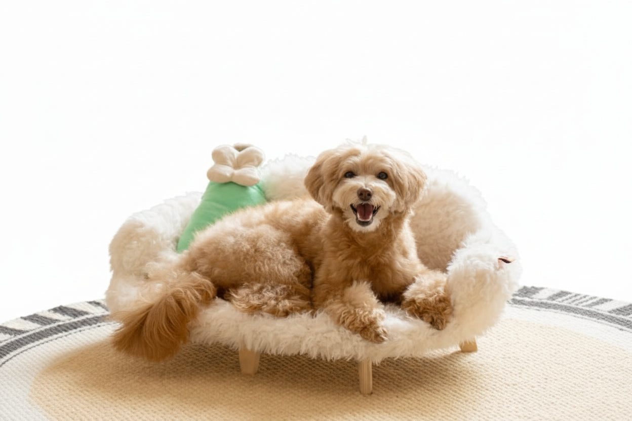 Wooden Pet Bed Kennel Dogs And Cats Bed Luxury Cat Bed Pet Safety Bed Bed Small Size Medium Dog