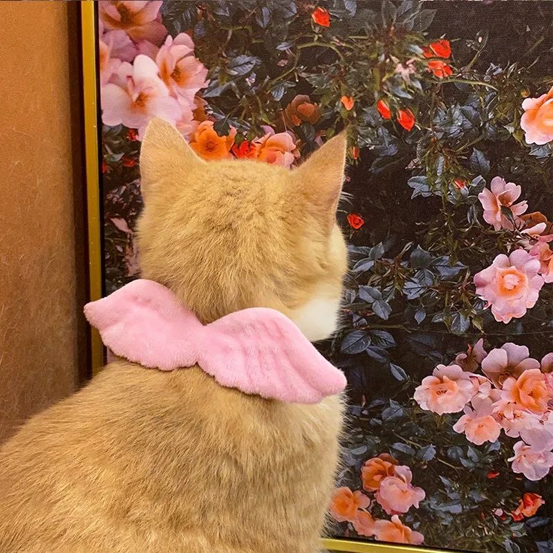 Cat Specific Pet White Collar Angel Wing Accessories Outdoor Dog Neck Rings Butterfly Tie Supplies Pet Decoration Supplies