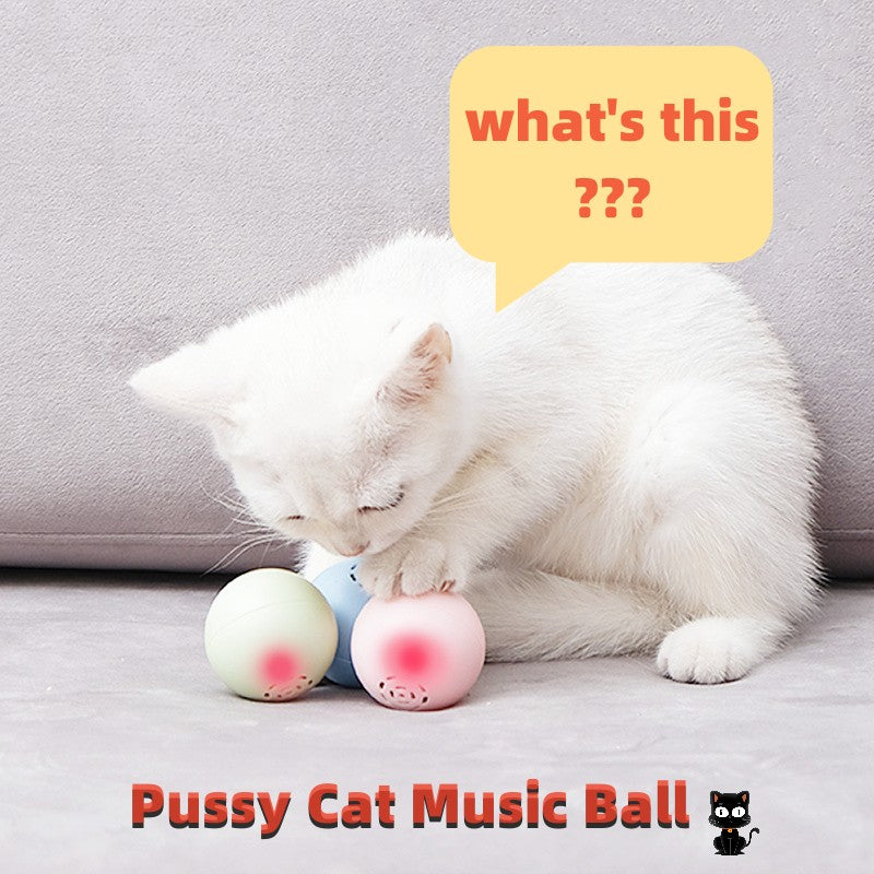 Self-Hi Pussy Cat Music Ball Sounds And Bites Toys