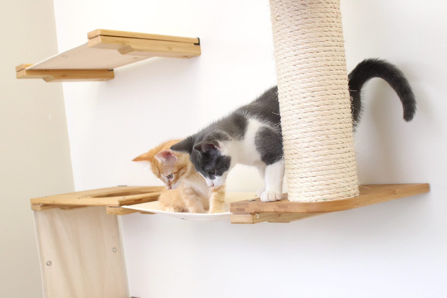 happypawssanctuary | Modern Wall Mounted Cat Condo with Hanging Fort