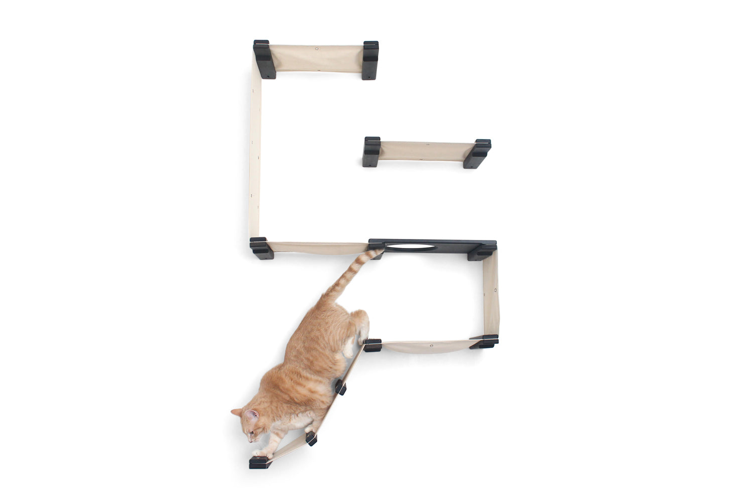 happypawssanctuary | Modern Wall Mounted Cat Condo with Hanging Fort