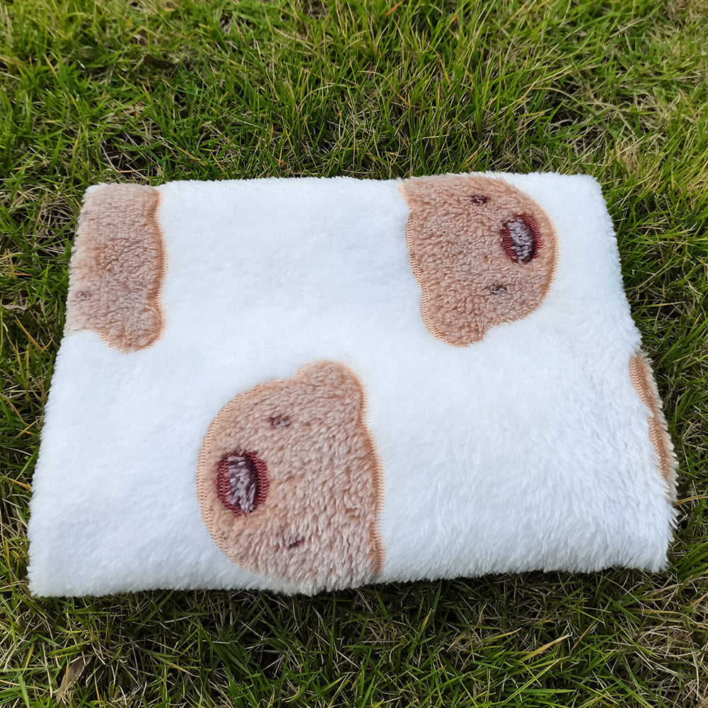 Thick Warm Coral Fleece Cat Kennel Blanket
