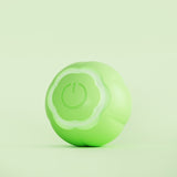 Pet Smart Rolling Ball Cat Toy Bite-resistant Boredom Relief